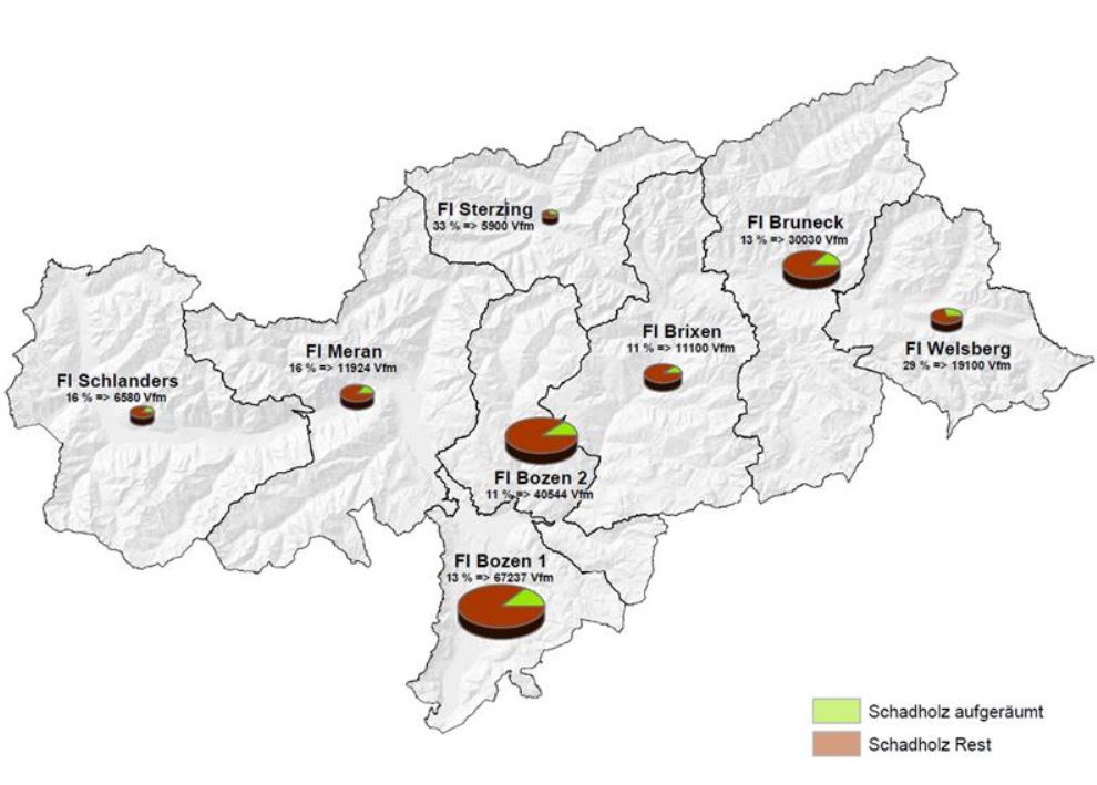 In Südtirol wurden 14 % des Sturmholzes aufgearbeitet